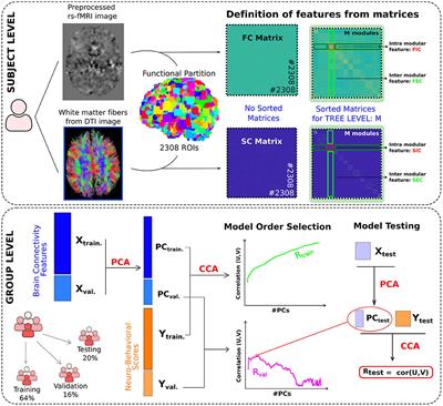 Frontiers | Brain Mapping Of Behavioral Domains Using Multi-Scale ...